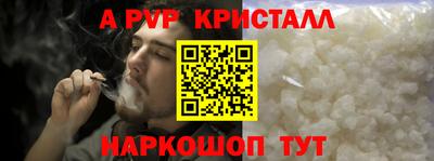 кокс Кингисепп