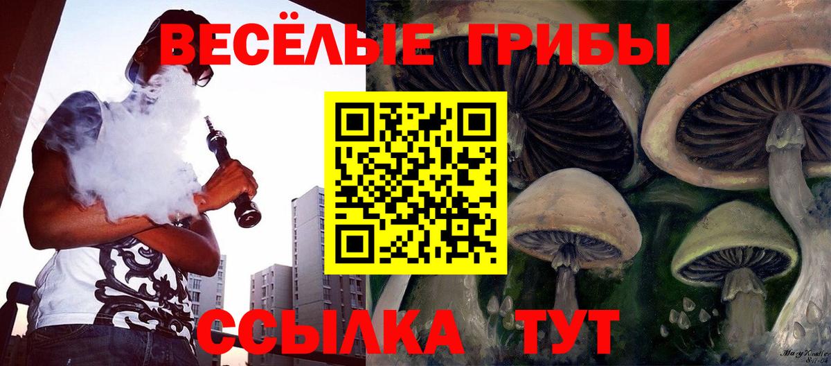 Псилоцибиновые грибы мицелий Ейск