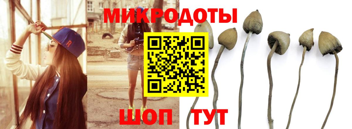 Галлюциногенные грибы Psilocybine cubensis  Вход с VPN  Псилоцибиновые грибы MAGIC MUSHROOMS  Ейск 
